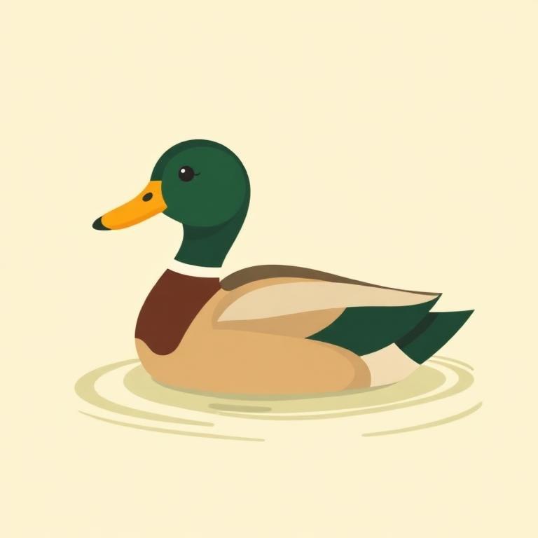 Mallard Duck